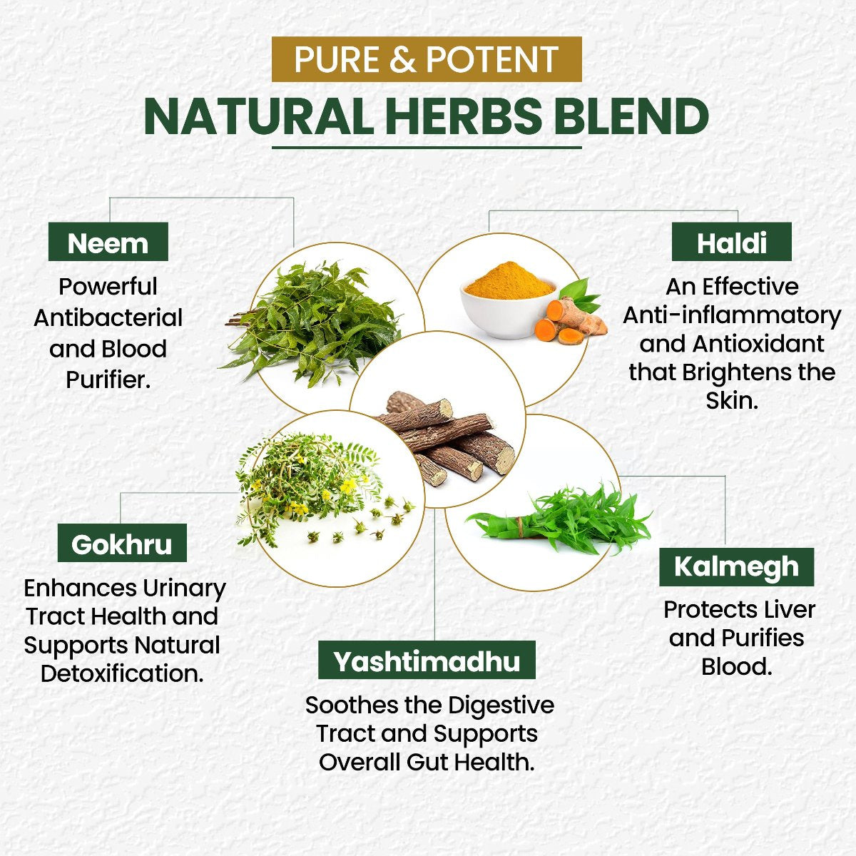 LC STGLO Ayurvedic Blood & Stomach Purifier Tablets (30 Tablets)